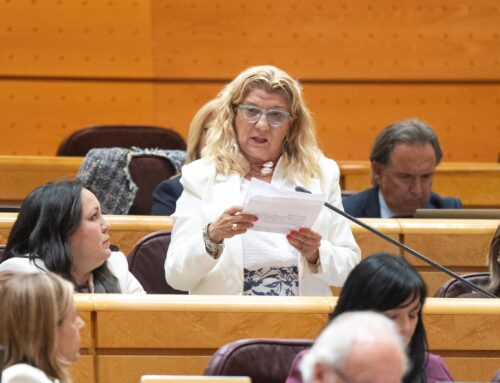 El PP exige a Marlaska “un compromiso firme y urgente para solucionar la situación delicada en materia de seguridad ciudadana de Plasencia”